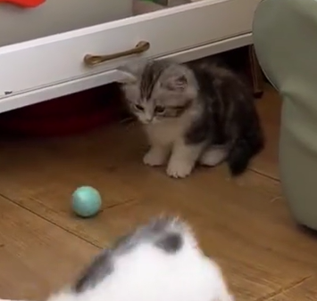 <em><strong>Luis R. – México</strong></em>